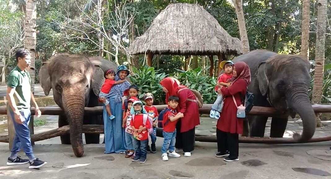 Para Pengunjung Saat Berfoto dengan Gajah Penghuni Lombok Wildlife Park KLU