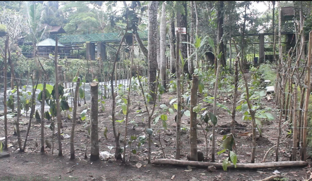 pemagaran lahan wisata Bawak Are yang diduga dilakukan salah satu warga yang mengkalim menjadi hak milik. (Humaidi/TV9 Lombok Barat).
